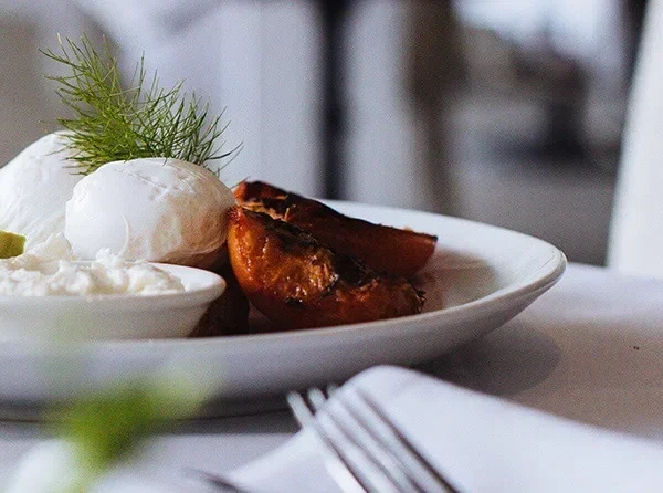 demo-restaurant-gallery-08